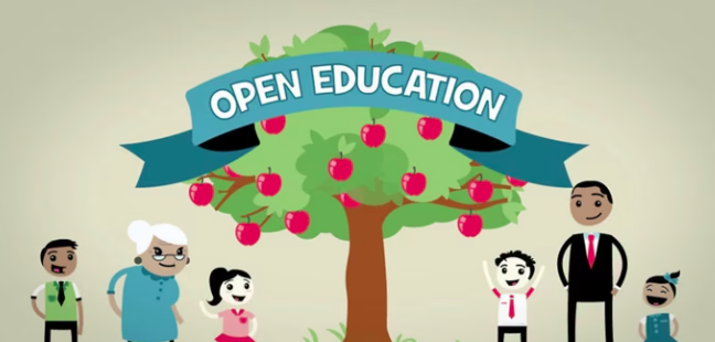 Cursos oberts: projecte miniops