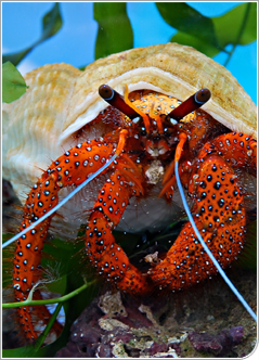 Informàtica i comunicacions