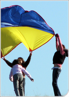 Serveis socioculturals i a la comunitat