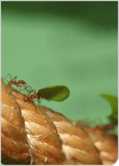 Informàtica i comunicacions